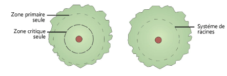 Plants200059.png