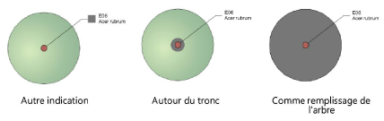 Plants200069.png