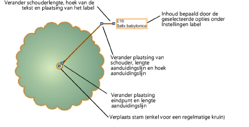 ExistTree_IDex.png