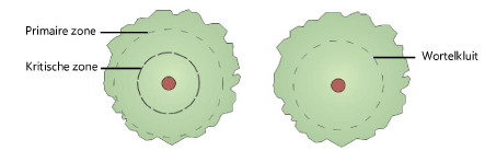 Plants200057.png