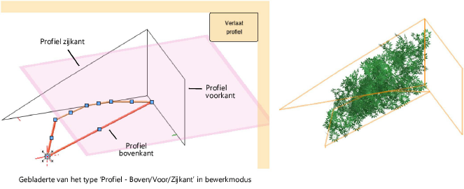 Plants200087.png