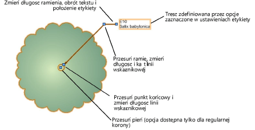 ExistTree_IDex.png